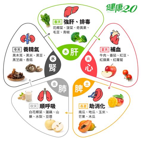 紅色食物五行|【五色食物對照表】紅色補血、黑色補腎？了解5色食。